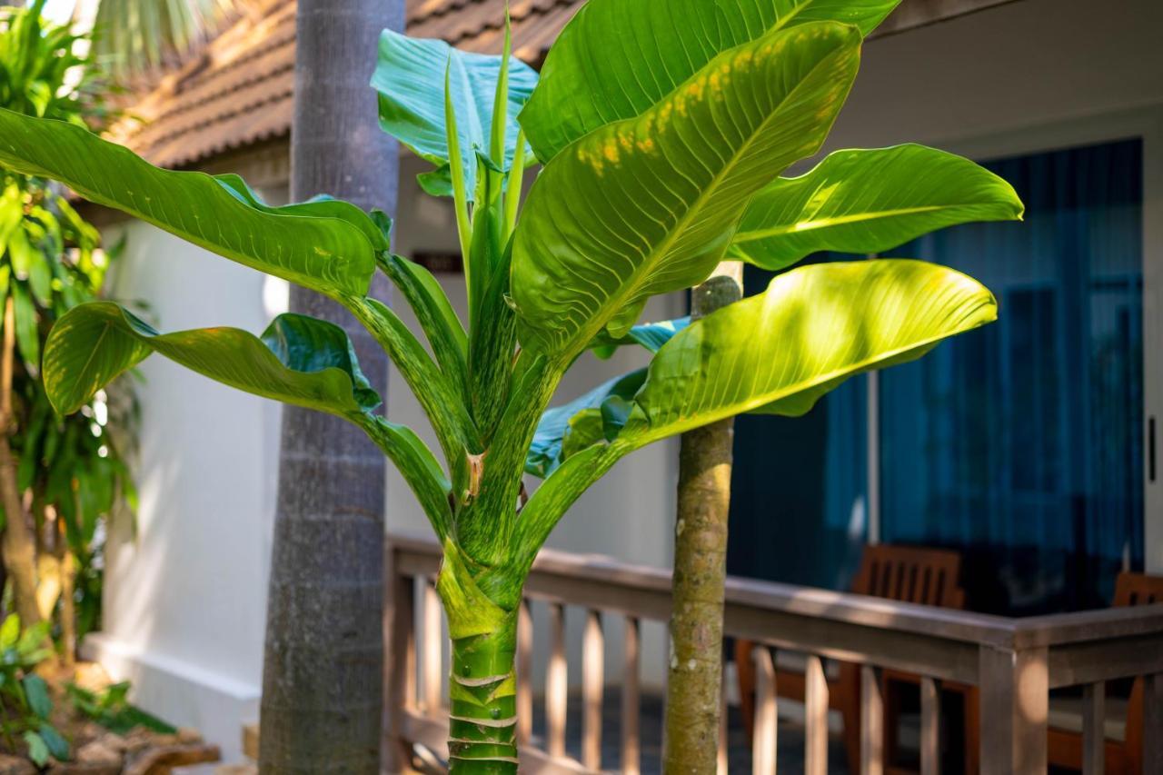 Samui Natien Station touristique